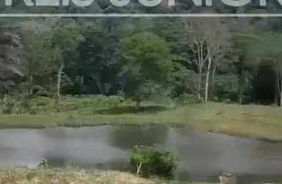 Fazenda à venda em Santa Luzia-BA: terra fértil, perfil produtivo diversificado, infraestrutura completa e elevada produtividade!