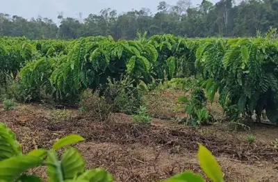 Oportunidade única: Fazenda à venda na cidade de Nome da cidade] no bairro Nome do bairro], com características exclusivas!