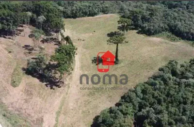 Área à venda, 130000 m² por r$ 23.900.000,00 - jardim bela vista - campo largo/pr