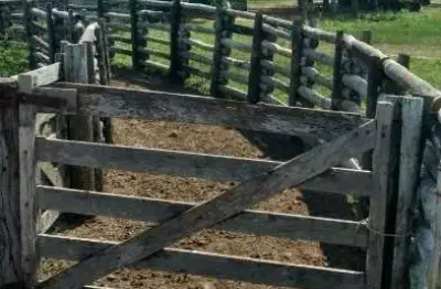 Fazenda à venda na rua general rondon, 638, centro, corumbá por r$ 60.000.000