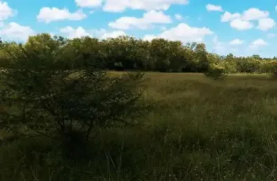 Terreno à venda na estrada otaviano josé pinto, 1100, lami, porto alegre por r$ 740.000