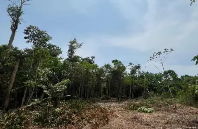 Terreno à venda na único, 0, Praia do Açutuba, Iranduba