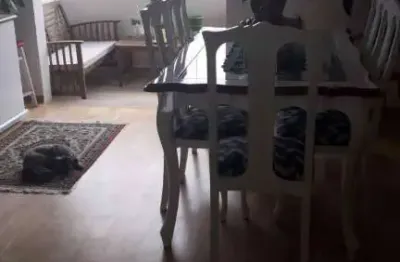 Apartamento para venda com 3 quartos no bairro jardim das industrias