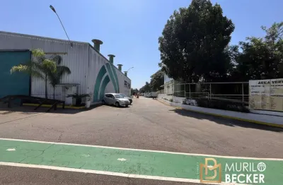 Terreno comercial à venda na Rodovia João Amaral Gurgel, Parque Residencial Maria Elmira, Caçapava