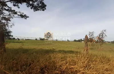 Terreno/área para incorporação à venda com 20.000 m² em caçapava