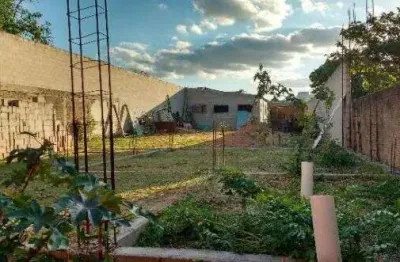 Terreno-lote-para-venda-em-jardim-proenca-campinas-sp