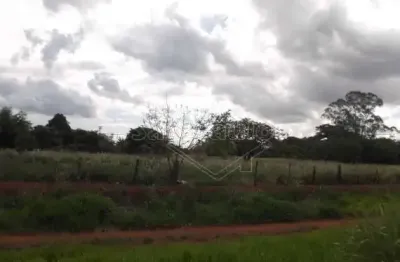Barracão / galpão / depósito para alugar na rua josé barbieri neto, jardim botânico, araraquara, 100 m2 por r$ 3.000