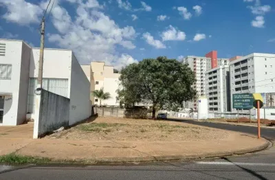 Terreno comercial para alugar na avenida gumercindo siqueira, jardim magnólias, araraquara, 424 m2 por r$ 2.000