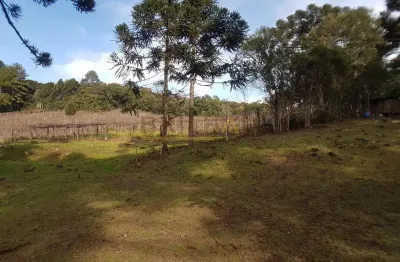 Terreno à venda na Estrada Municipal Abel Brambatti, 500, Parada Cristal, Caxias do Sul
