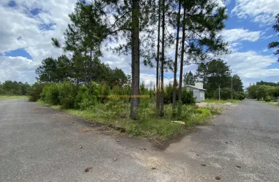 Terreno à venda na Rua Do Pinguin, Capão Novo, Capão da Canoa