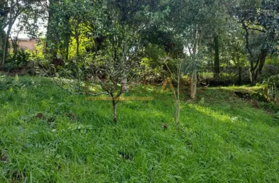 Terreno à venda na Rua Pedro Pezzi, Panazzolo, Caxias do Sul