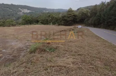 Terreno à venda na Travessão Gavili / São Valentim, Zona Rural, Flores da Cunha
