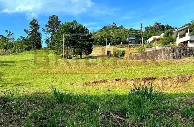 Terreno à venda na Estrada Municipal Vicente Menezes, Linha 40, Caxias do Sul