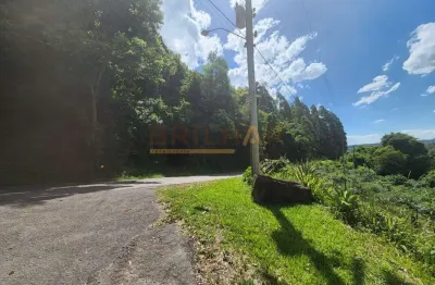 Terreno à venda na Rodovia BR-116, 18059, Nossa Senhora da Saúde, Caxias do Sul