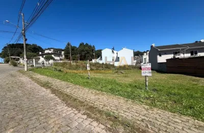 Terreno à venda na Rua Padre Josué Pagnoncelli, Vila Alpina, Caxias do Sul