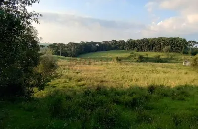 Chácara / sítio à venda na Vila Oliva (Distrito), Caxias do Sul 