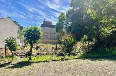 Terreno para comprar no loteamento santo andré  bairro santa catarina em caxias do sul