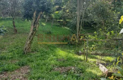 Terreno à venda na Rua Pedro Pezzi, 646, Panazzolo, Caxias do Sul