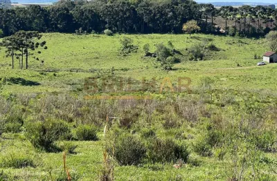 Terreno à venda na Vila Oliva, Vila Oliva (Distrito), Caxias do Sul