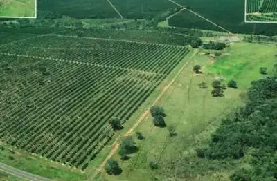Fazenda à venda no bairro doutor paulo prata - barretos/sp
