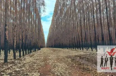 Fazenda à venda no Centro, Várzea da Palma 