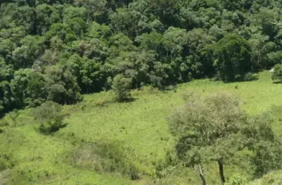 Fazenda à venda no Centro, Caldas 