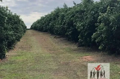Fazenda à venda na Rua Nove de Julho, Centro, Marília