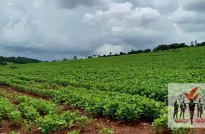 Fazenda à venda no Centro, Itamogi 