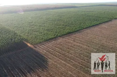 Fazenda à venda no Centro, Buritizeiro 