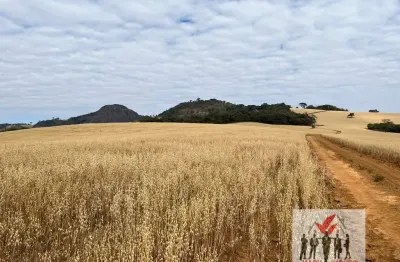 Fazenda à venda no Centro, Ipuiúna 