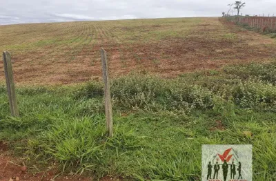 Fazenda à venda no bairro área rural de pouso alegre - pouso alegre/mg