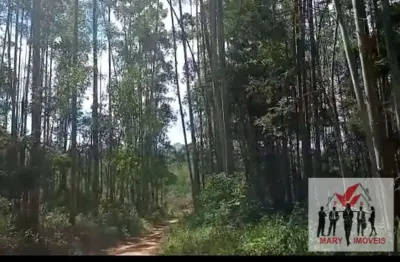 Fazenda à venda no Centro, Taubaté 