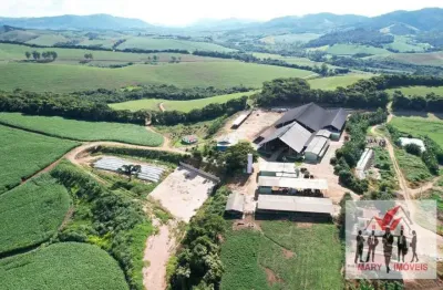 Fazenda à venda no Centro, São Lourenço 