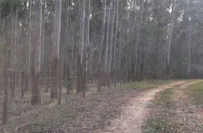 Fazenda à venda no Centro, São João do Paraíso 