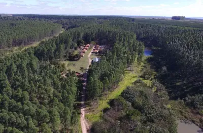 Fazenda à venda no Centro, Garça 