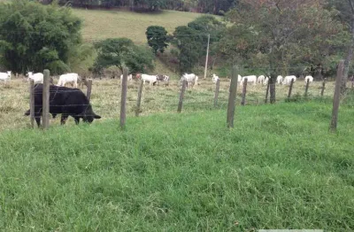 Fazenda à venda no Centro, Vargem Grande do Sul 