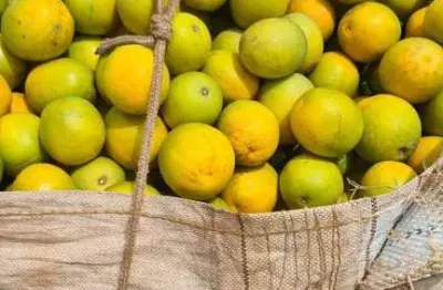 Fazenda à venda no Centro, Marília 