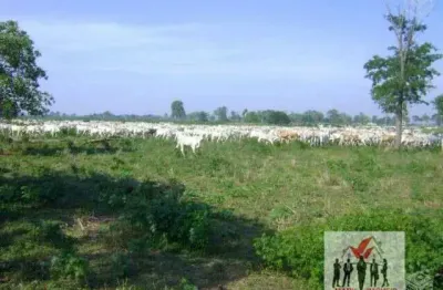 Fazenda à venda na Estrada Transpantaneira, Zona Rural, Poconé
