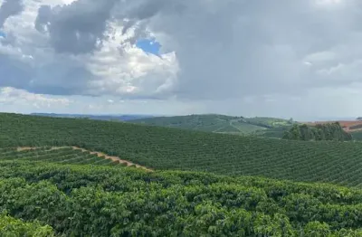 Fazenda à venda no Centro, Guaxupé 