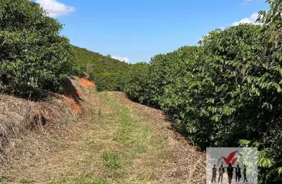 Fazenda à venda na Avenida Coronel Cândido de Castro Coutinho, Centro, Pouso Alegre