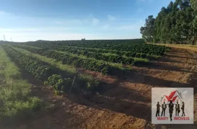 Fazenda à venda no Centro, Araxá 