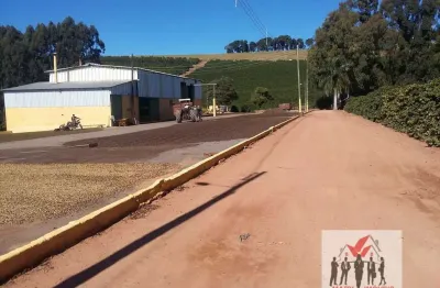 Fazenda à venda no Centro, Campanha 