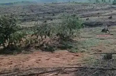 Fazenda à venda no Centro, Perdões 