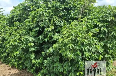 Fazenda à venda no bairro pouso alegre - pouso alegre/mg