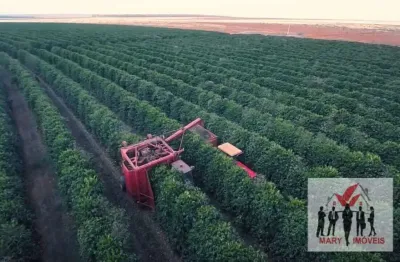 Fazenda à venda no Centro, Buritizeiro 