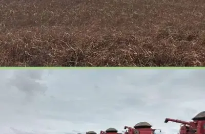 Fazenda à venda no Setor Central, Araguaína 