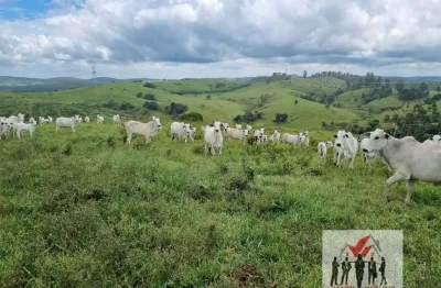 Fazenda à venda no Centro, Jacutinga 