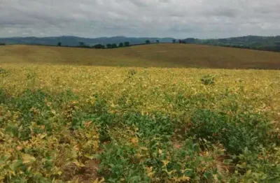 Fazenda à venda no Centro, Perdões 