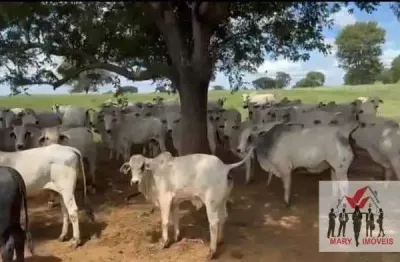 Fazenda à venda no bairro centro - capitão enéas/mg