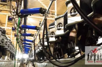 Fazenda à venda no Centro, Cachoeira de Minas 